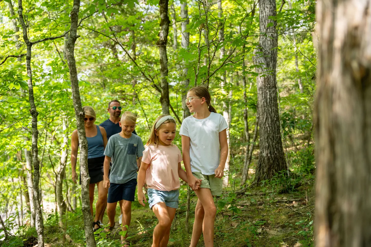 A family walking together through lush green foliage, sunlight streaming through the trees. The group appears joyful and unified, representing the experience of gentle nature walks and shared outdoor exploration.